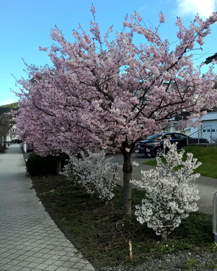Fewo Altstadt Bl บาด ลาสเฟอ ภายนอก รูปภาพ